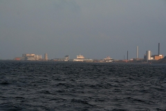 borholm0087