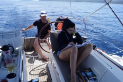 2017_Chorwacja_lew137