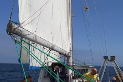 2019_Gedania_200